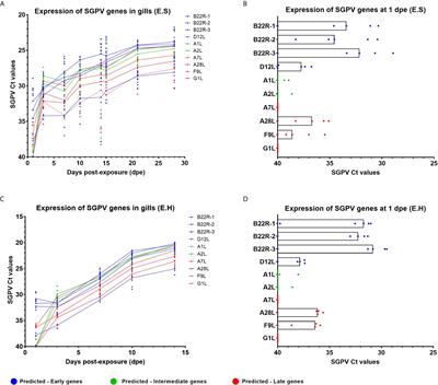 Mucosal and Systemic Immune Responses to Salmon Gill Poxvirus Infection in Atlantic Salmon Are Modulated Upon Hydrocortisone Injection